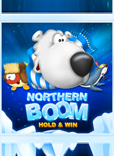 Northern Boom