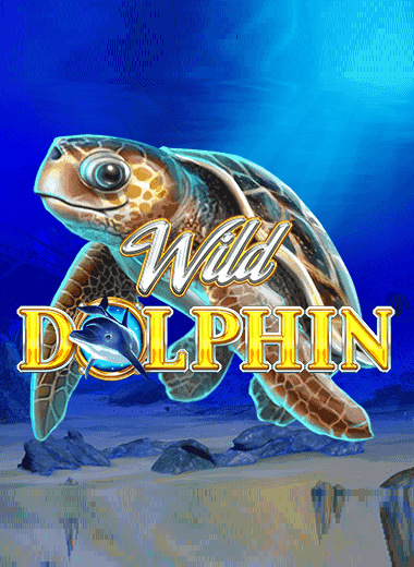 Wild Dolphin