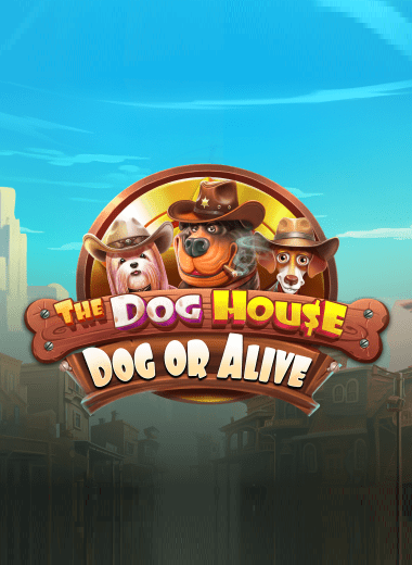 The Dog House – Dog or Alive