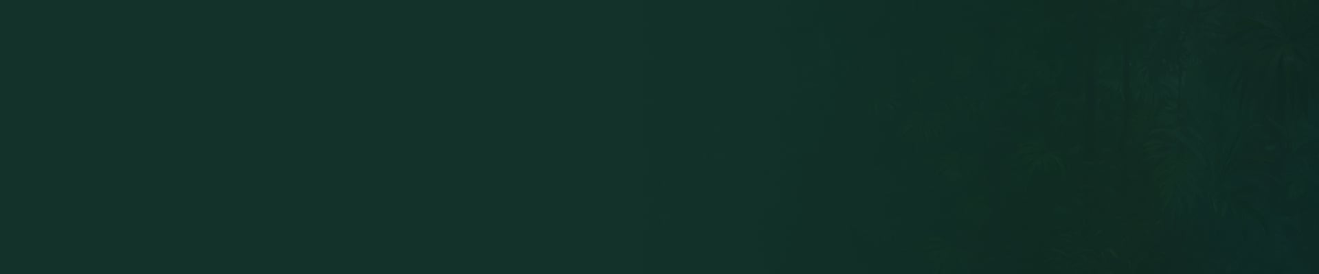 Volt Boost: Mighty Wild™ Gorilla