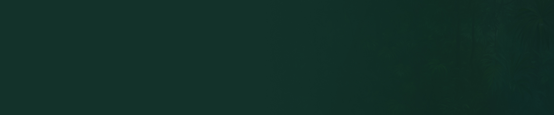 Volt Boost: Mighty Wild™ Gorilla