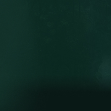 Volt Boost: Mighty Wild™ Gorilla